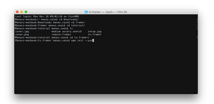 Terminal showing npm init output